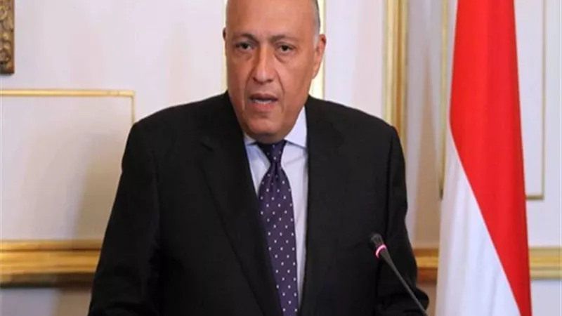 سامح شكري: العمل علي تشجيع الشركات البيلاروسية للعمل في المنطقه الصناعيه بقناه السويس