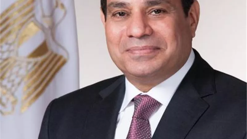السيسى يؤكد: حرص مصر على تطوير علاقات التعاون الاقتصادى والتجارى مع الشركات البيلاروسية