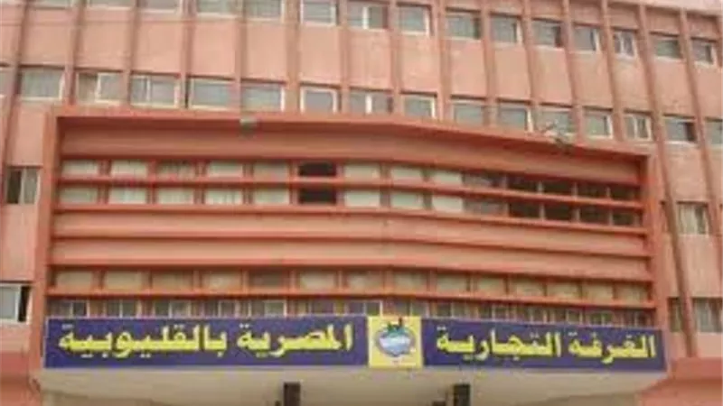 المستبعدون من تجارية القليوبية : الصناعة تضرب عرض الحائط بأحكام القضاء