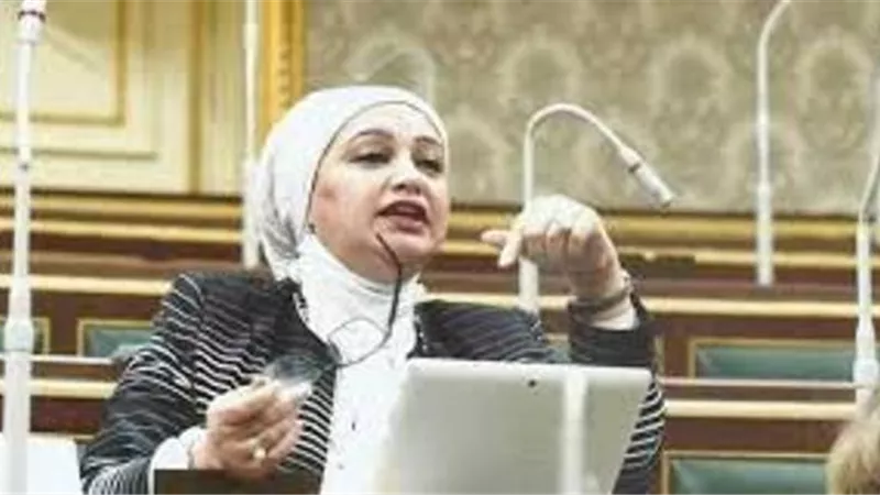 النائبة سولاف درويش تدين تصريحات اردوغان وتؤكد: التدخل فى شئون مصر مرفوض