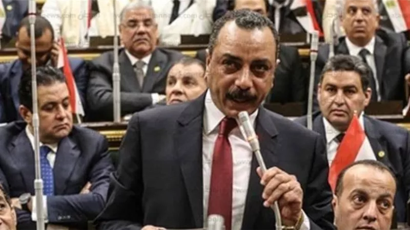 أمين تشريعية النواب : تصريحات أردوغان تؤكد دعم النظام التركي للأرهاب الدولي