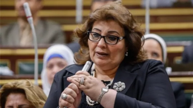 وكيل حقوق إنسان البرلمان تنتقد تصريحات اردوغان عن الوضع في مصر