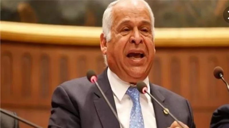 فرج عامر : تصريحات اردوغان مكانها سلة المهملات