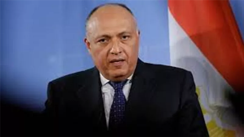 مصر تعقد اجتماعا للشركاء الإقليميين للسودان