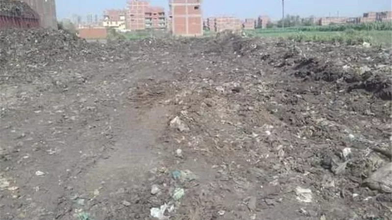 رفع ١٢ ألف طن قمامة ومخلفات من مقلب الفدان بمنيا القمح