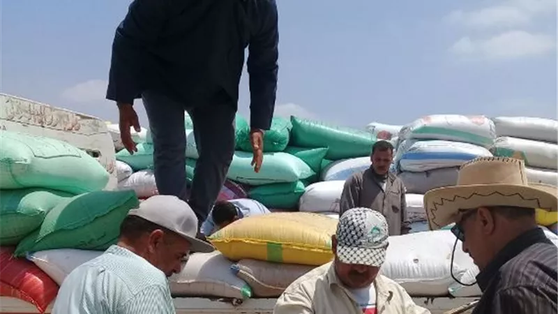 توريد 634 الف طنا من الاقماح بالشرقية