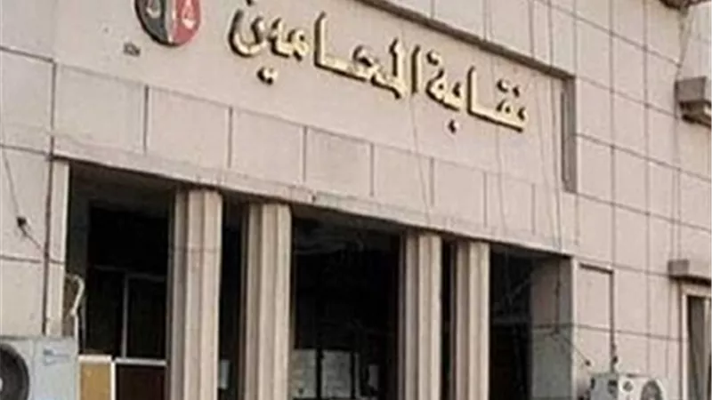 فرعيات «المحامين» تعلن تأييدها للتعديلات على مشروع «قانون المحاماة»