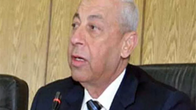 محافظ أسوان : إحتفالية كبرى في سبتمبر المقبل لتسليم تعويضات النوبة لمستحقيها