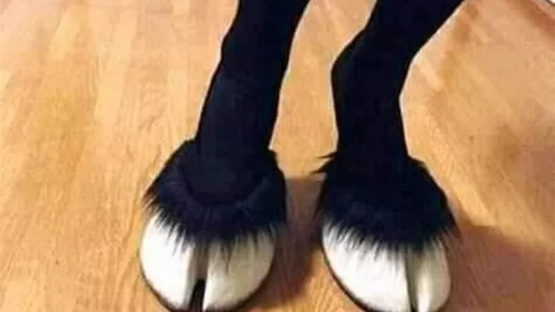 بالصور.. حذاء 