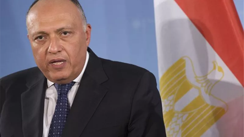 شكري يعرب عن استنكاره للتصريحات غير المسئولة للرئيس التركي حول مصر
