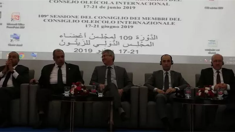 أبوستيت: ضرورة إيجاد مقترحات لتطوير الإنتاج واتباع الأساليب العلمية في زراعة الزيتون