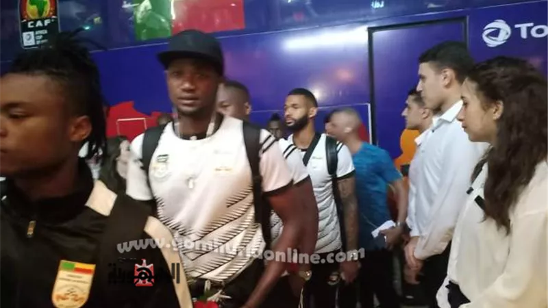 أمم أفريقيا 2019 .. الإسماعيلية تستقبل منتخب بنين بالسمسمية .. فيديو وصور