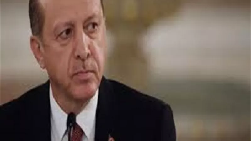 هشام الهمامي: أردوغان ظاهرة صوتية لاستعراض بطولة زائفة