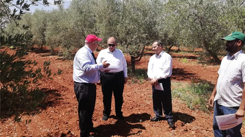 وزير الزراعة يزور مزرعة زيتون معهد الأبحاث بمراكش