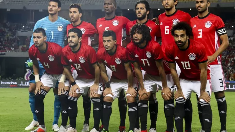 الطيور المهاجرة تبوح بأسرارها: الأحلام الاحترافية.. بعد الأمم الأفريقية