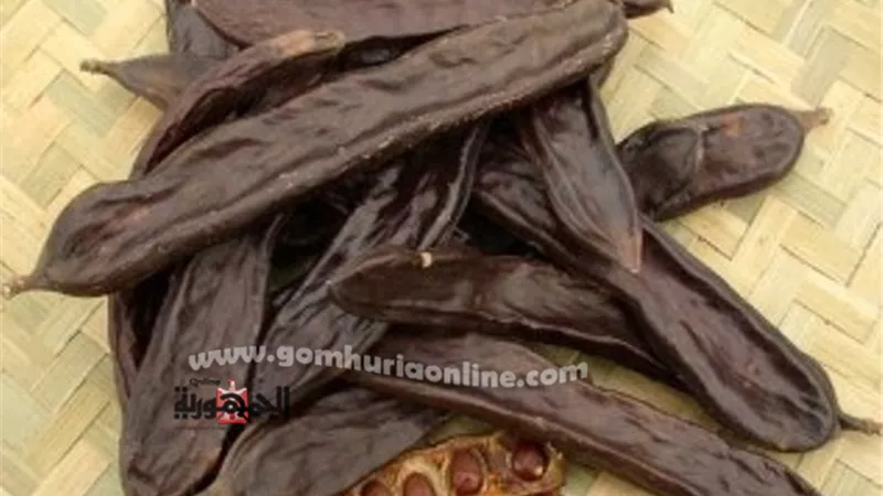 ضبط 1150 كيلو خروب منتهى الصلاحية بمحل بالجمرك