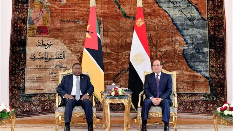 السيسي: اتفقت وفيليب نيوسي على تنسيق جهود مكافحة الإرهاب وتجفيف منابعه