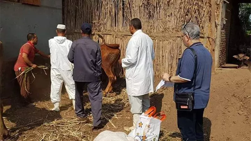 بدء الحملة الثانية لتحصين الحمي القلاعية والوادي المتصدع بالمنوفية