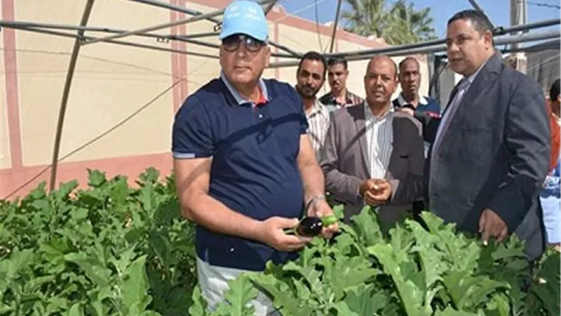 الزملوط يدعم مشروعات المدارس المنتجة بزراعة ٥ صوب زراعية