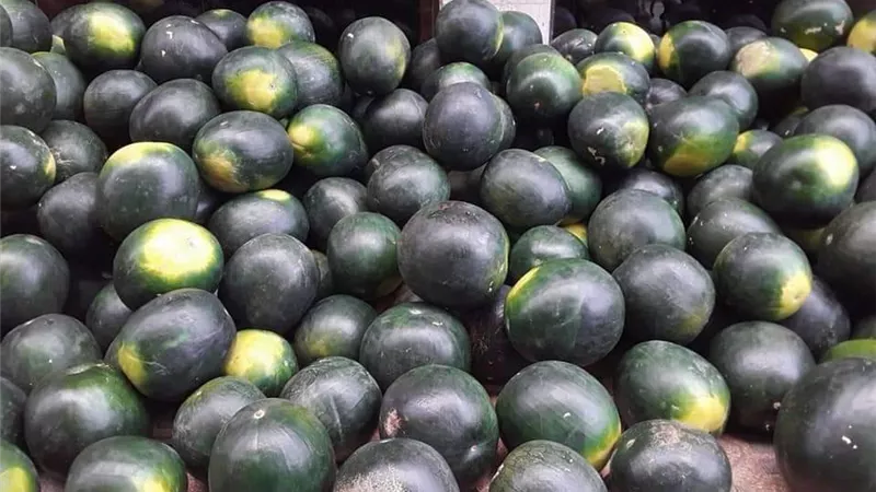 البطيخ يحاصر مبنى نقابة المحامين ببورسعيد