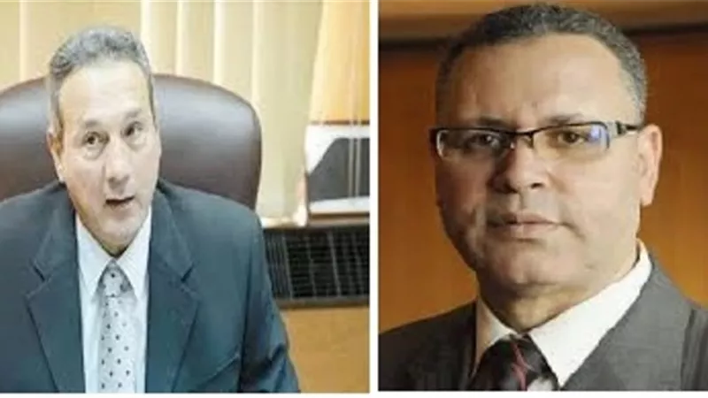 الكاتب الصحفى سعد