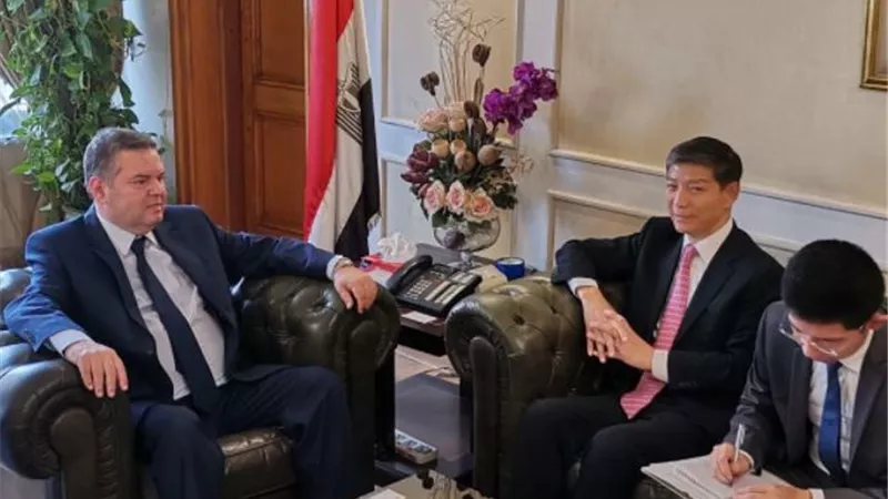 وزارة قطاع الأعمال العام تبحث مع سفير الصين بالقاهرة مجالات التعاون المشترك