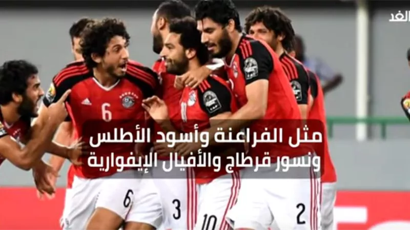 بالفيديو.. تعرف على أغرب ألقاب المنتخبات الإفريقية