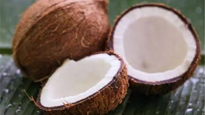 زيت جوز الهند يخلصك من حب الشباب