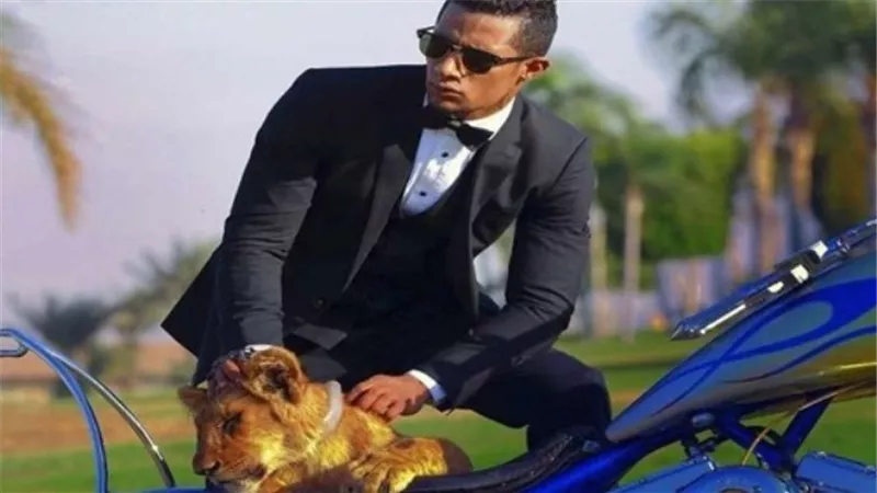 قرار هام من محكمة الاستئناف بخصوص الفنان محمد رمضان