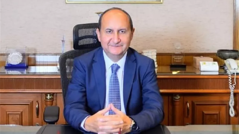 وزارة التجارة: عقد مائدة مستديرة مع كبريات الشركات اليابانية المهتمة بالاستثمار في السوق المصري