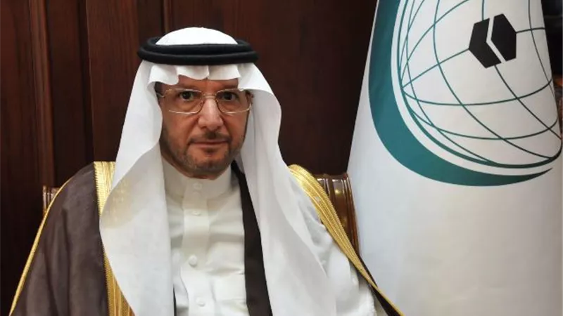 منظمة التعاون الإسلامي تدين استهداف تجمع أمني في شمال سيناء