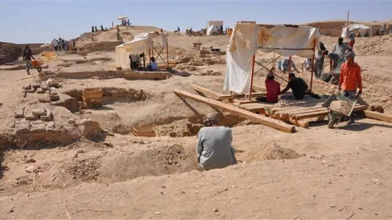 السفارة الإسبانية بالتعاون مع 