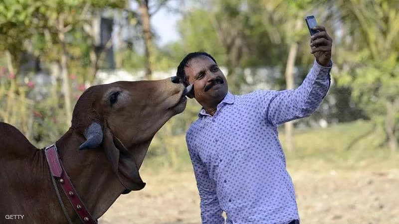 بالأرقام.. 