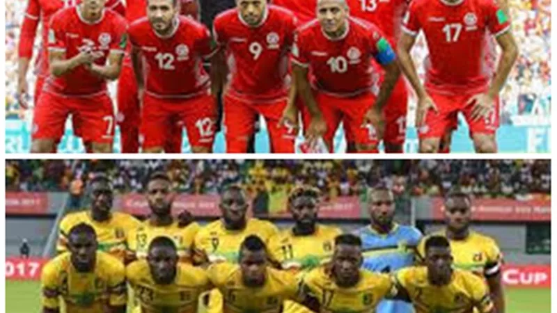 تحدى النسور على استاد السويس .. كل ماتريد أن تعرفة عن مباراة الحسم بين تونس و مالى كأس الامم الافريقية 2019