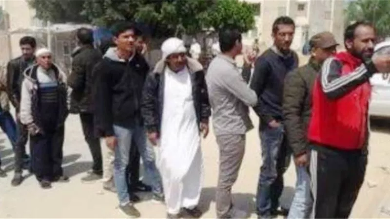 القوى العاملة ٢٢٧ وظيفة شاغرة بالقطاع الخاص بالوادى الجديد