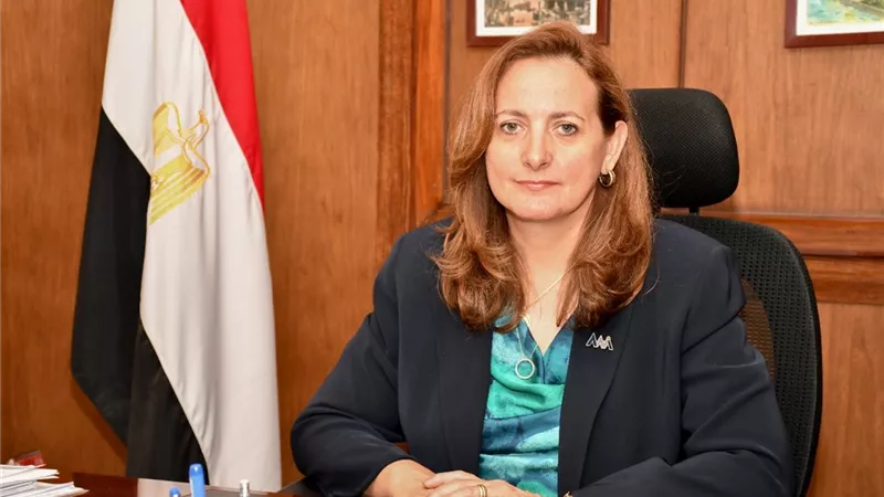 مدير معهد الإدارة للجمهورية أونلاين: خارطة طريق لنقل الكفاءات إلى العاصمة الجديدة