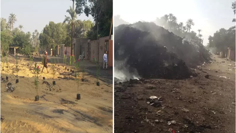 الجيزة ترفع 3800 طن مخلفات من منطقة مقابر أبو والى بالحوامدية