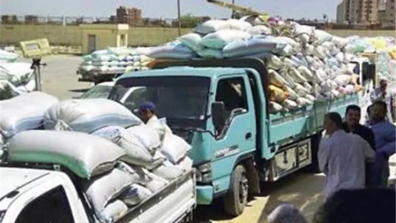 توريد 125 الف و558 طن من القمح لصوامع وشون سوهاج