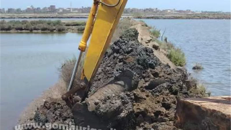 إزالة حالتي تعدي على أراضى زراعية بمدينة دمياط