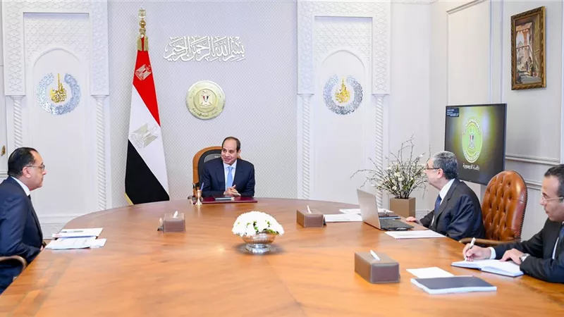 الرئيس السيسي يوجه بالاستمرار في تطوير قطاع الكهرباء