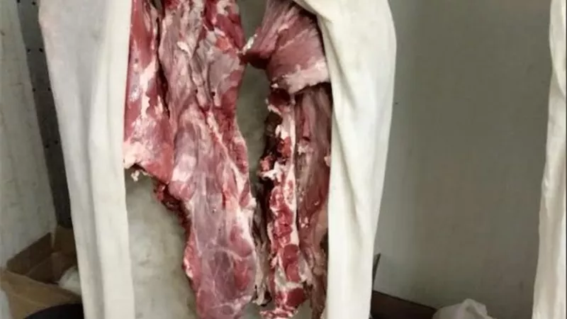 ضبط ١٢٨٠ كيلو لحوم غير صالحة بالجيزة اليوم الخميس