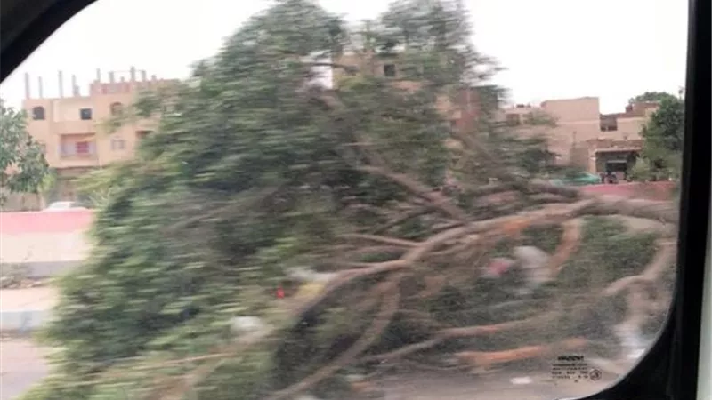رفع آثار العاصفة الترابية بالإسماعيلية..صور