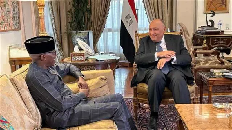 وزير الخارجية يعرب عن ترحيب مصر بالحوار مع مفوض الاتحاد الإفريقي