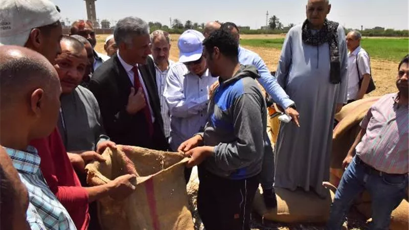 محافظ أسيوط: الانتهاء من حصاد القمح على مستوى المحافظة