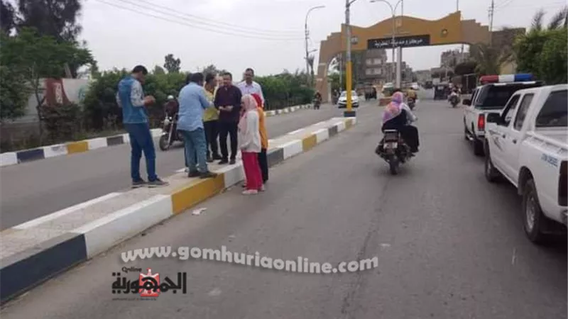 حملات لمراجعة الإعلانات بالشوارع والميادين بالدقهلية