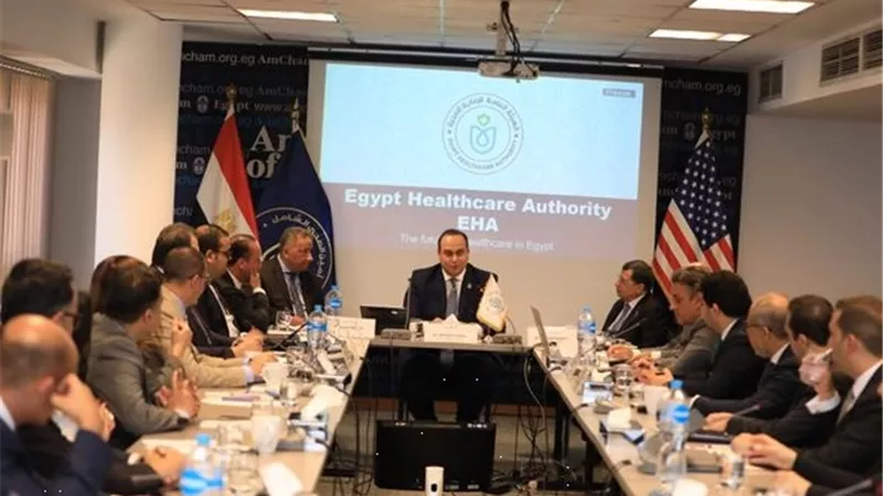 السبكي يبحث مع غرفة التجارة الأمريكية الاستثمار بالقطاع الصحي