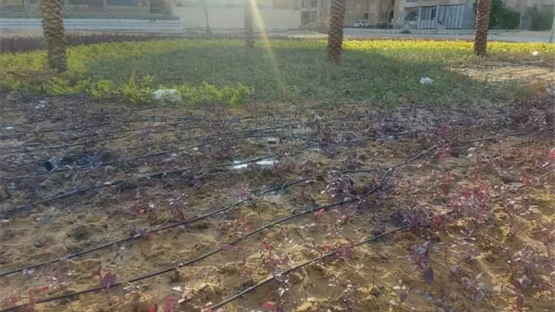 جهاز مدينة حدائق اكتوبر ينتهي من إنشاء حديقة الزهور سيتي