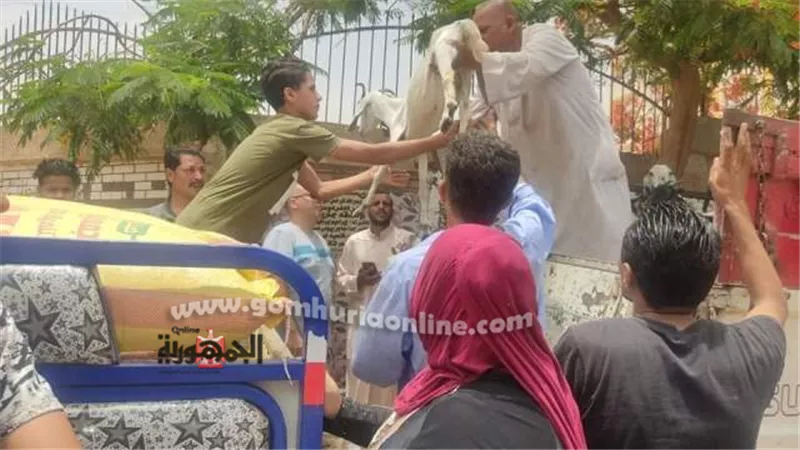 التضامن الاجتماعي بالمنيا يسلم رؤس ماعز واغنام بمركز سمالوط
