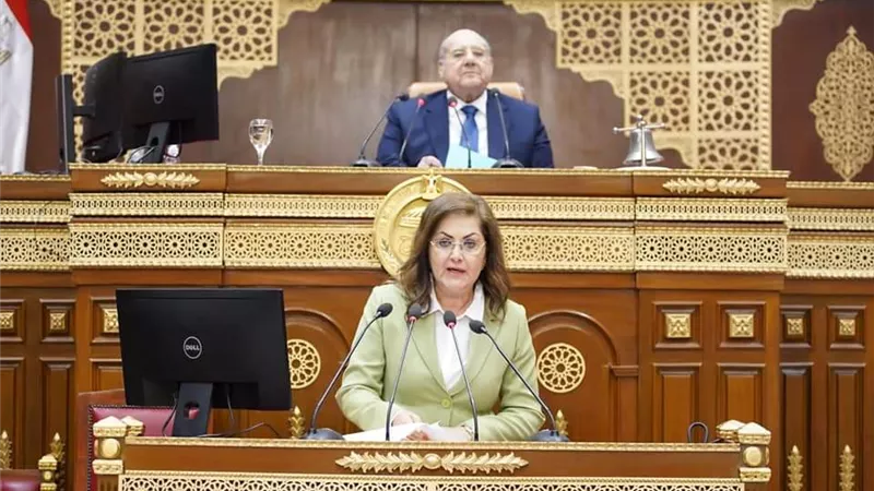 السعيد تناقش التنمية الاقتصادية والاجتماعية في مجلس الشيوخ