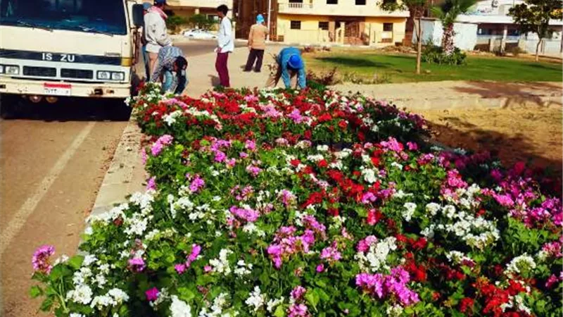 بوابة الجمهورية